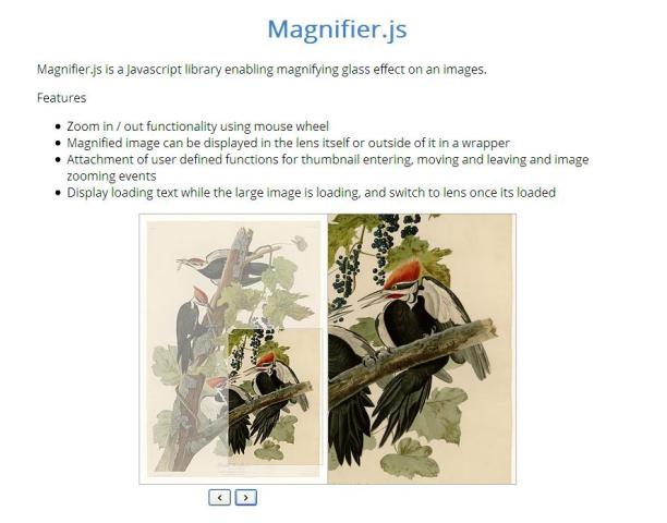 WebDesign Loupe effet sur les images - Magnifier.js