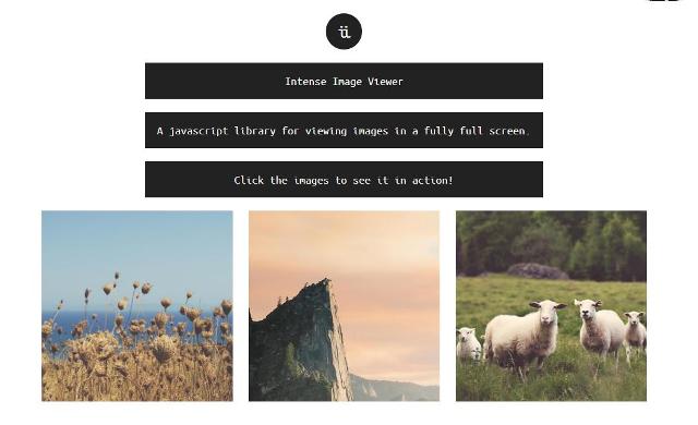 WebDesign Plugin JavaScript pour afficher des images en plein écran - Intense Image