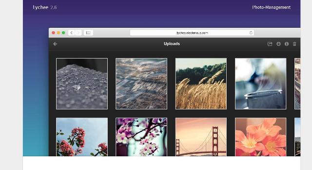 WebDesign Un outil de gestion de photo gratuit - Lychee