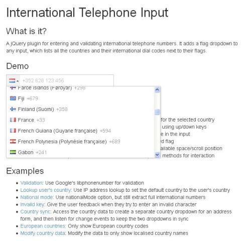 WebDesign Un plugin jQuery pour les indicatifs internationaux - International Telephone Input